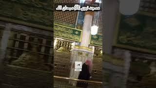 Ziyarat Medina inside Masjid An Nabwi | Vip Video In Madina | Masjid-e-Nabvi | MAHID JALALI #shorts