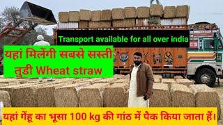 (465) 100 किलो की गांठ । यहां बनती है गेंहू के भूसे तुड़ी की 100 kg की compress machine से गांठ।