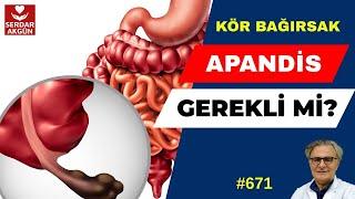 672. Apandis, Apandiks, Gerekli mi?,Prof.Dr.Serdar Akgün, Sağlık Haberleri, Serdar Akgün, Videoları
