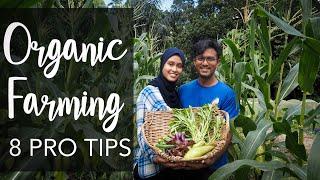 Organic Farming Tour & Techniques | High Yield + Low Cost with JADAM (Kira Organic Farm)