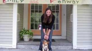 The FedWell Pet Foods Story