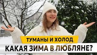 ЛЮТАЯ ЗИМА в ЛЮБЛЯНЕ: ТУМАН, СНЕГ и ПАЛЬМЫ. Жизнь в Словении