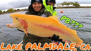 CAUGHT PB LIGHTNING TROUT AT THE FIN & FEATHER LAKE PALMDALE CA | SPRING APRIL 2024 | #BBAKR3W