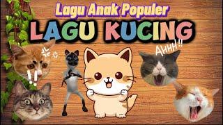 Lagu ANAK KUCING - Kucing Meong Meong - Kbeeb #laguanak #kucing