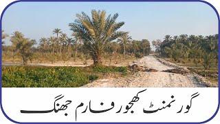 An Awesome View of Government Dates Farm Gojra Road Near Civil Hospital Jhang | Meekal Vlogs