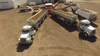 Potato Harvest 2020 Colorado - Ponderosa Partnership