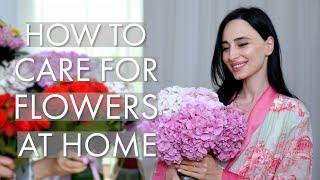 Flower Arrangement Tips: How to Care for Fresh Flowers at Home