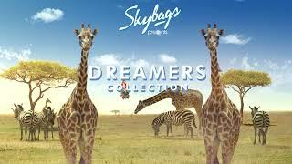 Skybags Dreamers Kids Collections.