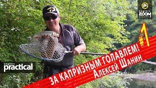 Капризный голавль на попперы в летнюю жару. Алексей Шанин 1 Часть. Anglers Practical