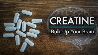 Creatine: Bulk Up Your Brain Power