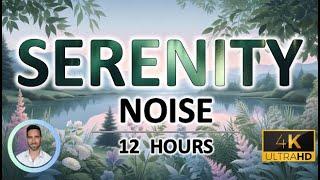 Serenity Sleep Noise | Physical & Emotional Healing Tones | Pain Relief | 12 Hours | BLACK SCREEN