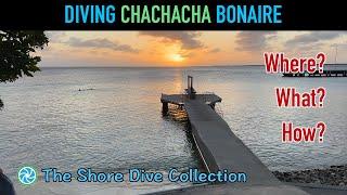 Diving Chachacha Bonaire | The Shore Dive Collection | TropicLens - 4K