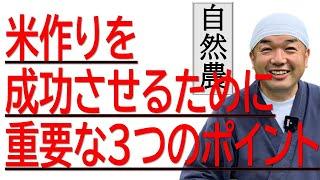 米作りを成功させるために重要な３つのポイント【自然農法】