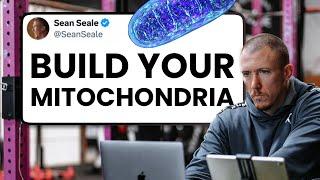 How to BUILD the BEST Mitochondria? (Zone 2, VO2max & Sprint Training)