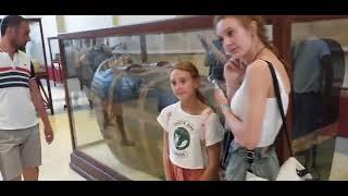 The Egyptian Museum ||قاہرہ مصر میوزیم