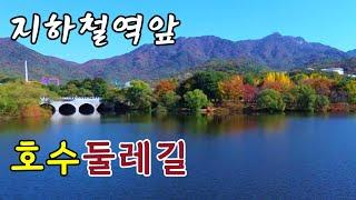 지하철역앞 40년 된 숲길 호수길 무료 개통 - 11월 말까지 즐기는 단풍과 낙엽길