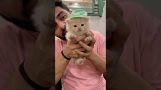 Bacho  ko kapde pehna diya  #ashortaday #tranding #minivlog #cat #viralshortvideo