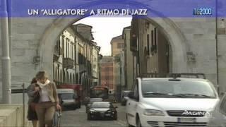 Un "alligatore" a ritmo di jazz di Pierluigi Vito