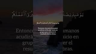 Sura Az-zalzalah #Quran#coranenespañol#islam #muslim