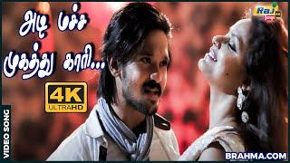 அடி மச்ச முகத்து காரி.......| Nakkhul | Ashna Zaveri | Neetu Chandra | Siddharth Vipin | Raj4K Songs