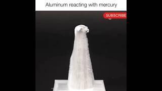 "Aluminum + Mercury: A Fascinating Reaction!" #viralvideo