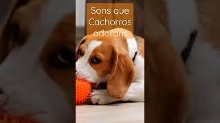 sons que cachorros adoram