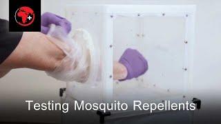 Testing Lifesystems Mosquito Repellents