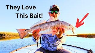 Spring Redfish On Z-Man Crab & Shrimp Patterns - Charleston, SC