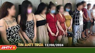 Tin tức an ninh trật tự nóng, thời sự Việt Nam mới nhất 24h trưa ngày 12/8 | ANTV