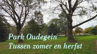 Park Oudegein tussen zomer en herfst