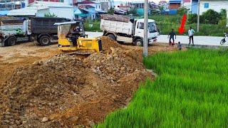 Today Update!! Power Dozer D31P pour stone delete field to build foundation unload by dump trucks