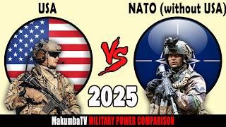 USA vs the rest of NATO 2025 | Military Power #militarypower #nato