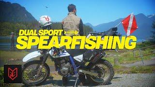 Dual Sports, Spearfishing, and Fish Tacos | #45 Adventures