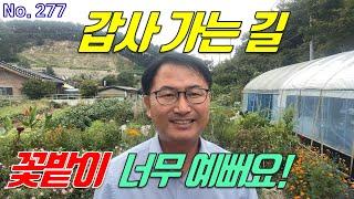 (가격인하 4억 8천만원) 갑사 가는 길 공주시 2차선 도로접 토지 음식점 커피숍 부지용 계획관리지역 계룡면 중장리 땅 매매