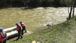 Рафтинг в Карпатах | Rafting in the Carpathian