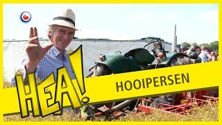 Record hooipersen | HEA!