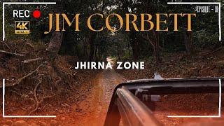 Jim corbett national park | jhirna zone | jhirna frh | TIGER??