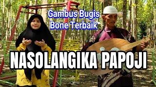 GAMBUS BUGIS BONE TERBAIK (NASOLANGIKA PAPOJI)