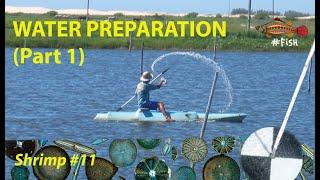 SHRIMP POND WATER PREPARATION (Part 1) #11 | #FISH