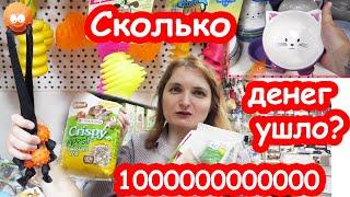 Хомки скупили пол ЗООмагазина