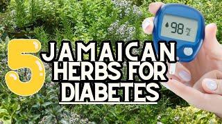 5 JAMAICAN HERBS for DIABETES (Part 1) / Earth's Medicine