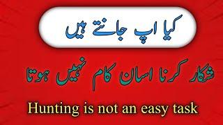 Hunting is not an easy task/شکار کرنا اسان کام نہیں ہوتا