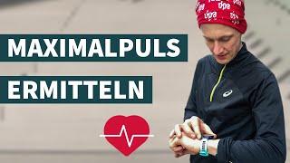 Maximalpuls beim Joggen ermitteln: So geht's