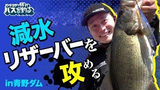 減水リザーバー!ロングミノーでの食わせ方【プラグでのバスの釣り方】