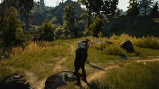 The Witcher 3: Wild Hunt Finding a Cave Troll Liver