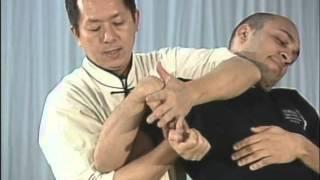 Дожимы, выверты (с Ч14 по Ч21) Tai-Chi Ch'uan (Martial Art) armlock уроки #тай_чи #Болевые приемы