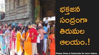 Heavy Rush In Tirumala Queue Line Near Mahadwaram