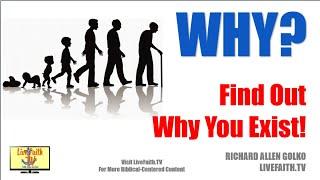 Why? The Definitive Answer to the Most Asked Question:  Find Out Why You Exist!