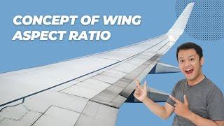 Understanding Wing Aspect Ratio: Key to Aerodynamic Efficiency