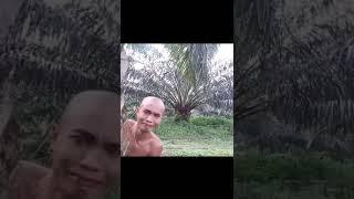 Video biasa